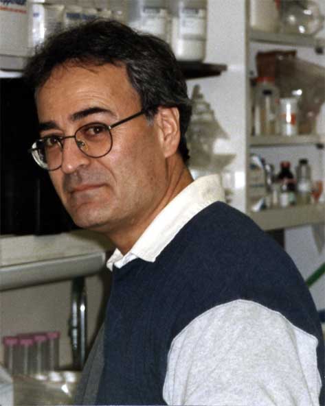 photo of Javad Khosravi