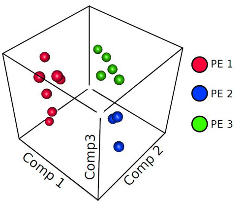 LOADING: A three dimensional plot  of the top three principal components that separate different molecular classes  of preeclampsia.