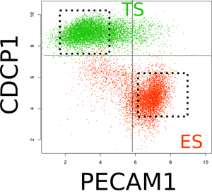 LOADING: Flow cytometry plot of the separation of trophoblast stem cells and embryonic stem cells using the cell surface proteins CDCP1 and PECAM1