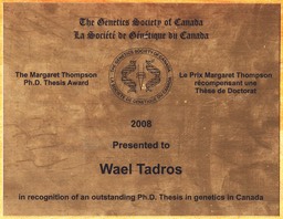Wael GSC Award