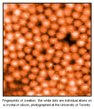 Picture from Original Publication.   Caption reads:  Fingerprints of creation:  the white dots are individual atoms on a crystal  of silicon, photographed at the University of Toronto