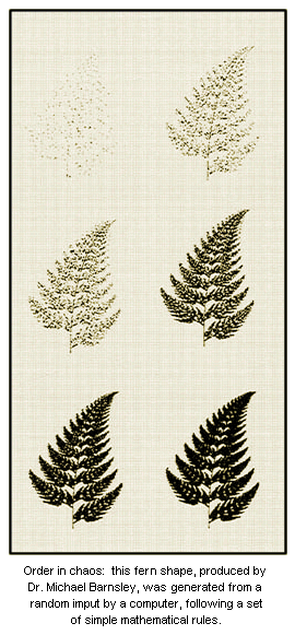 Picture from Original Publication.  Caption reads:  Order in chaos:  this fern shape, produced by Dr. Michael Barnsley, was  generated from a random input by a computer, following a set of simple mathematical rules.