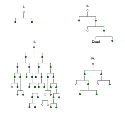 lineages2