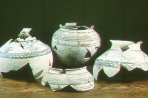 Ceramics from Godin Tepe
