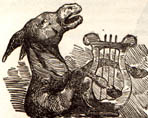 Illustration d'un âne musical, Le Charivari