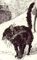 Illustration dans Le Chat noir