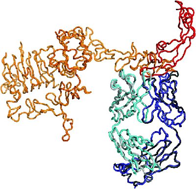 antibody image